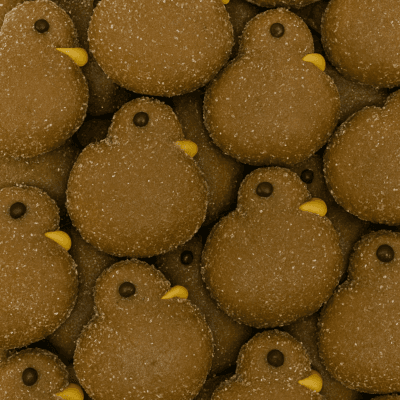 Donzen eendjes (UITVERKOCHT)