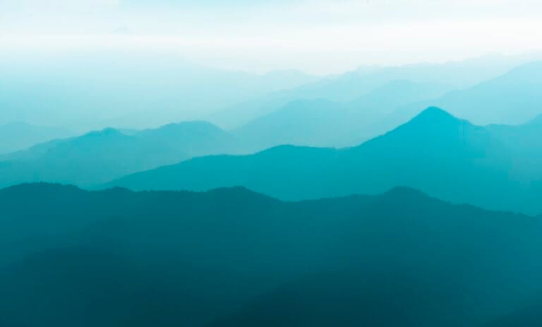 Chocolade paashazen bestellen - ambachtelijke paashaas van Belgische chocolade